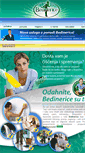 Mobile Screenshot of bedinerice.com